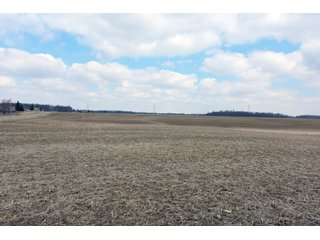 TRACTS 12-13 - MAJOR LAND AUCTION - 719+/- ACRES OFFERED IN 14 TRACTS IN ALLEN COUNTY, OHIO